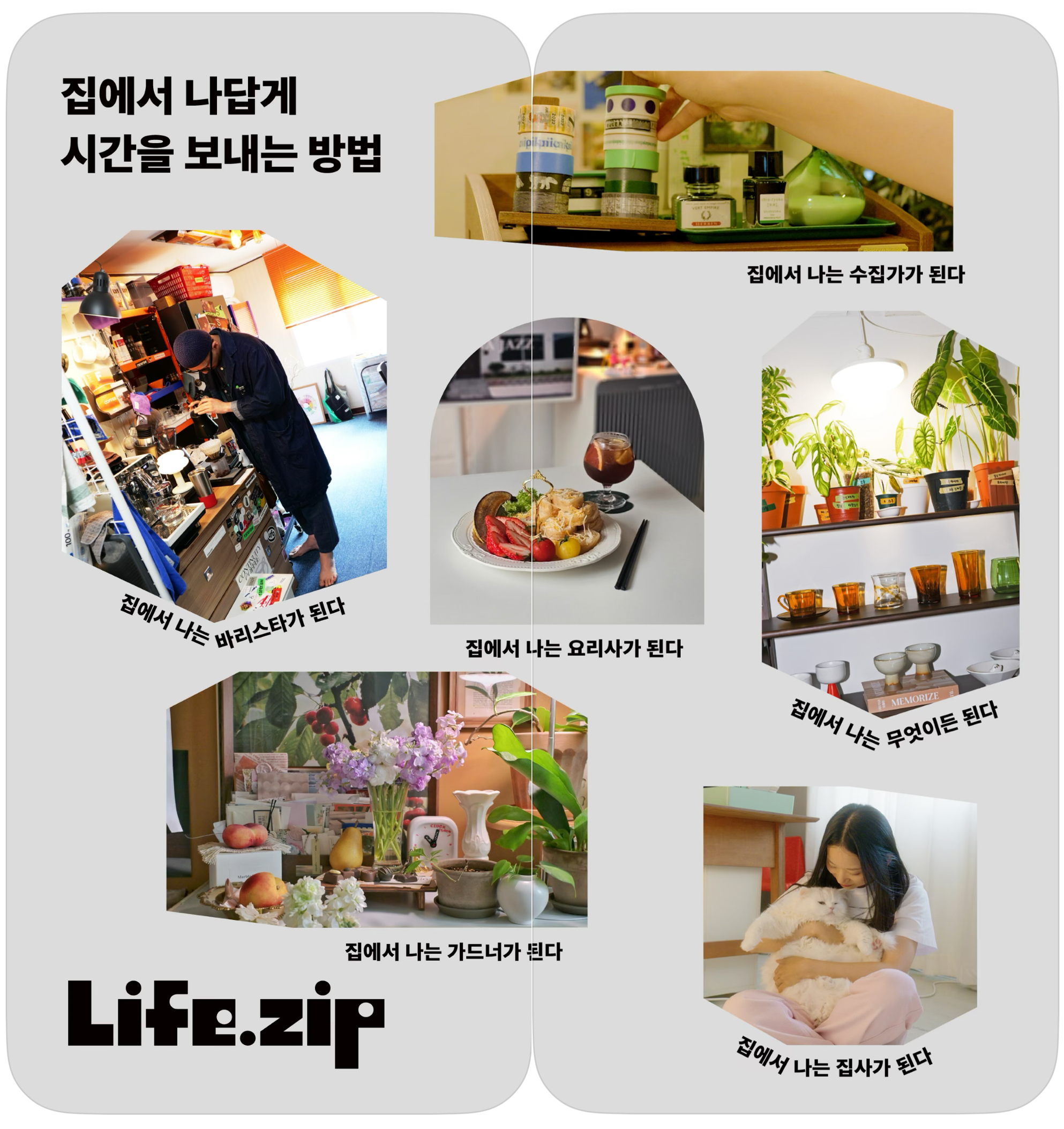 라이프집