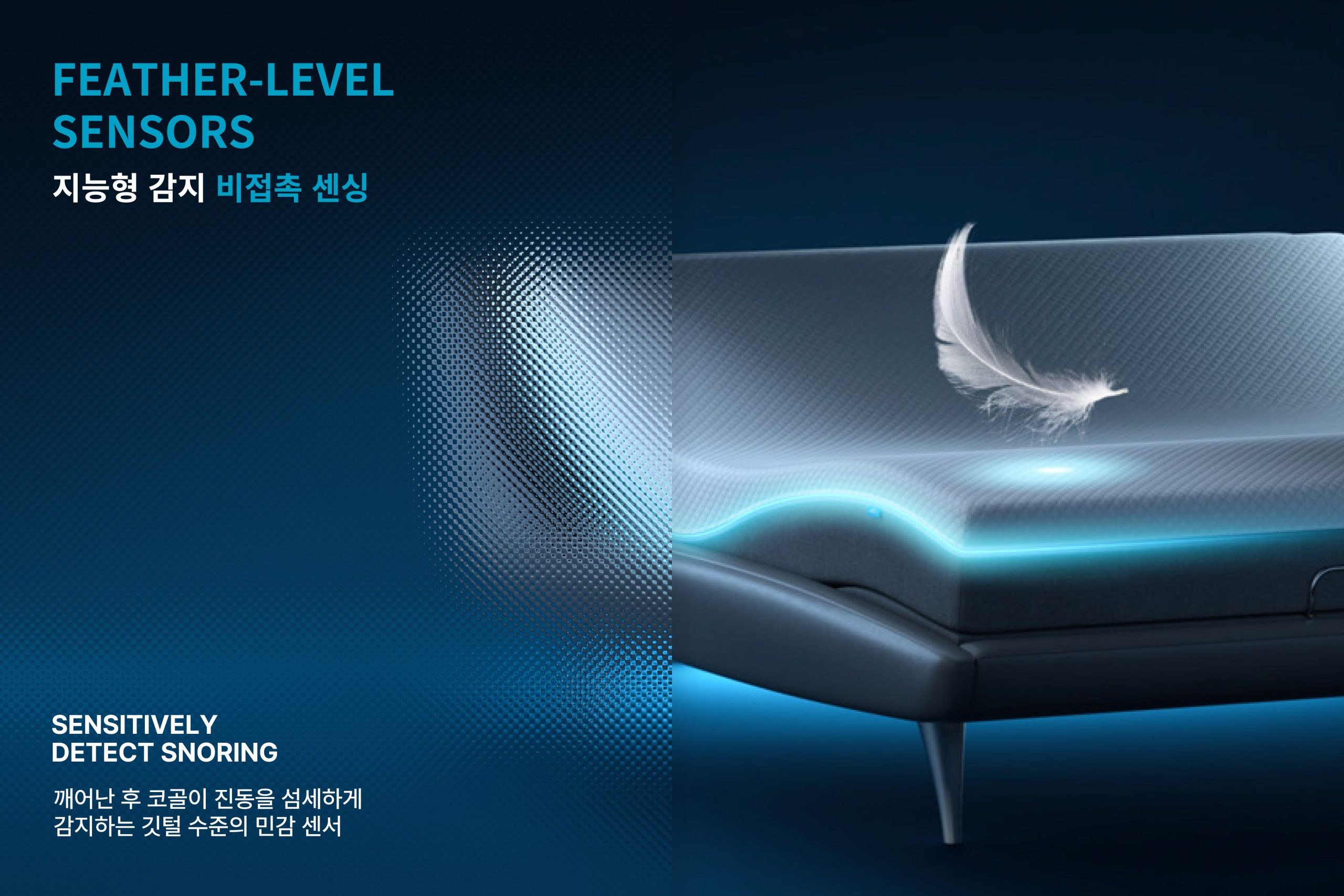 소프타이드